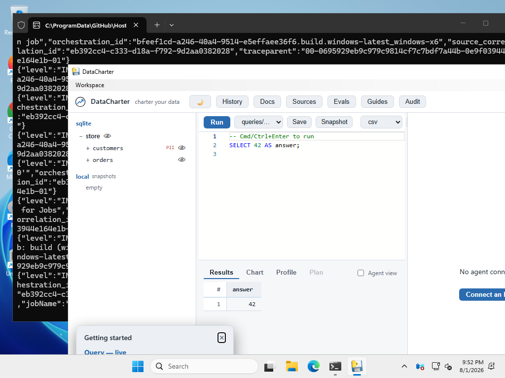 DataCharter running on Windows 11